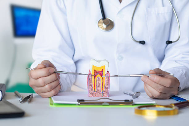 Best Emergency Root Canal Treatment in Yoakum, TX